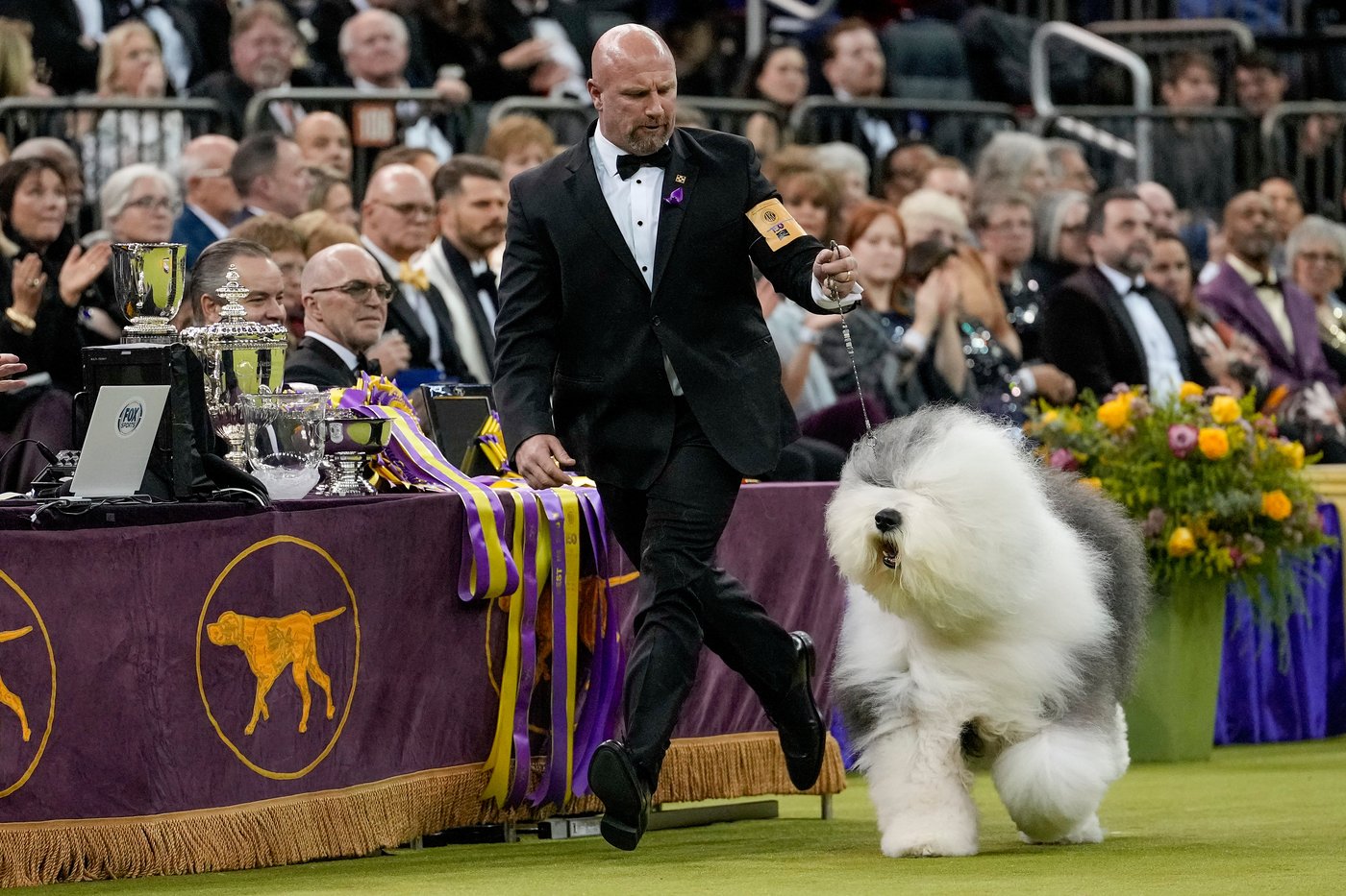Photo Gallery: The Westminster dog show | iNFOnews.ca