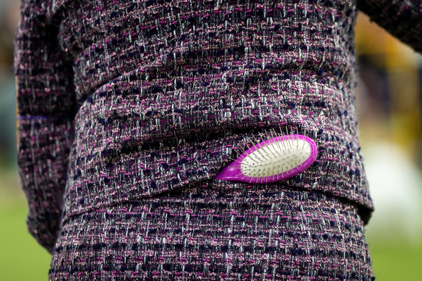 Photo Gallery: The Westminster dog show | iNFOnews.ca