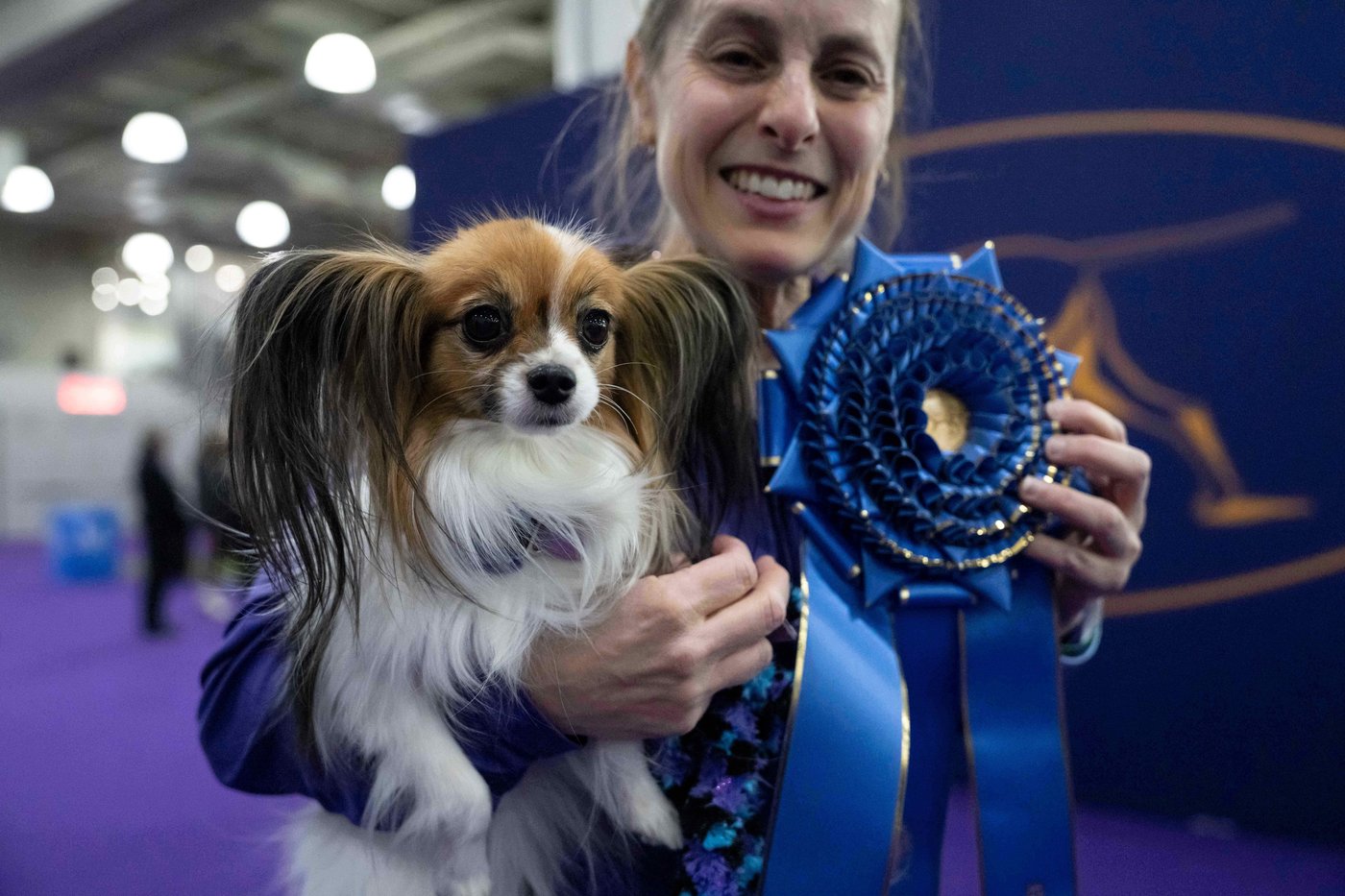 Photo Gallery: The Westminster dog show | iNFOnews.ca