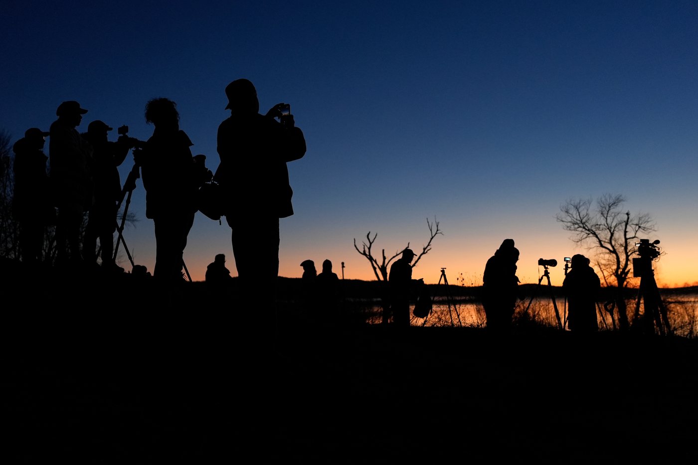 Photos show the dramatic dawn flight of migrating snow geese | iNFOnews.ca