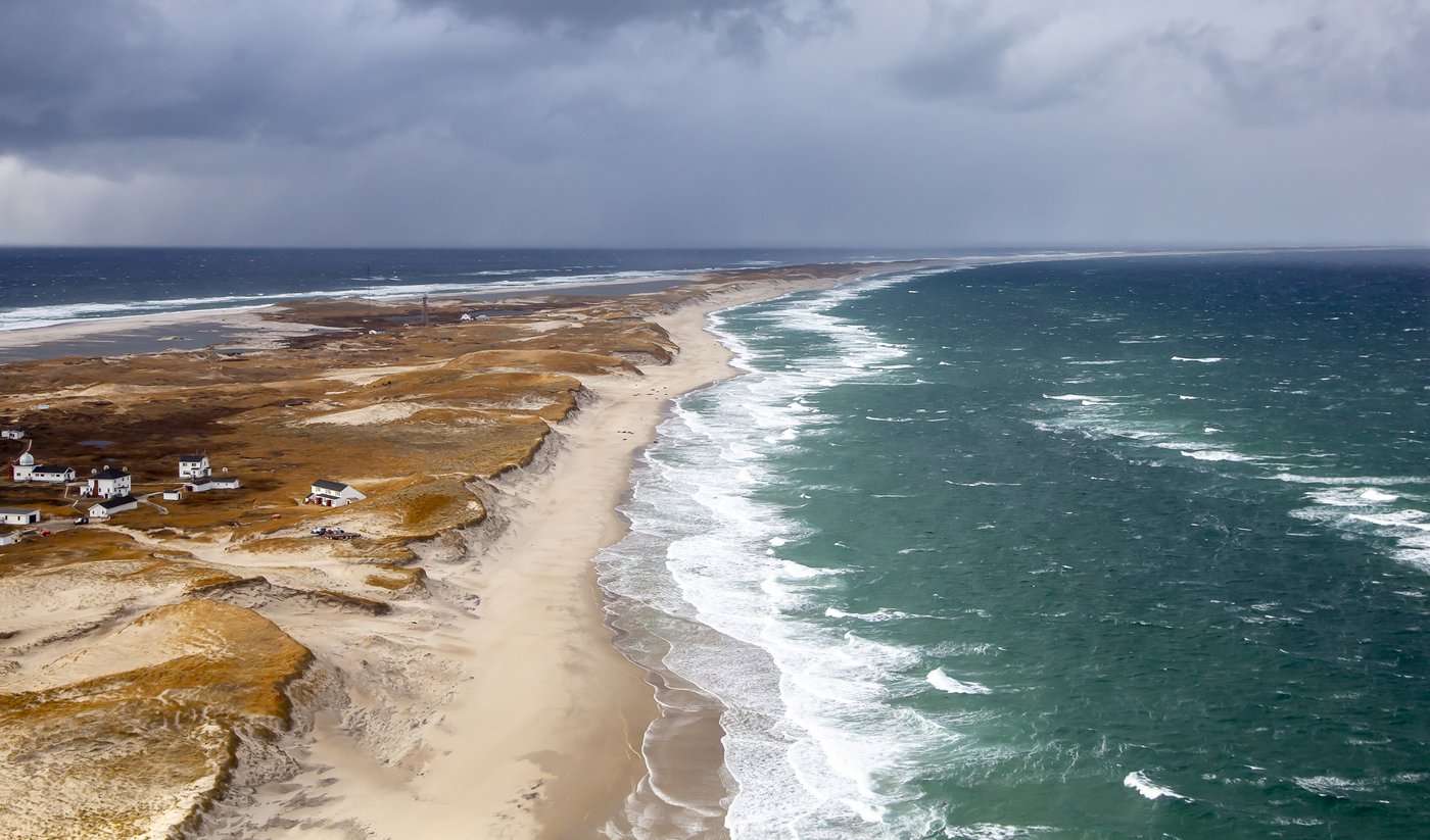 New book explores the rugged adaptability of Sable Island, N.S.'s wild horses | iNFOnews.ca