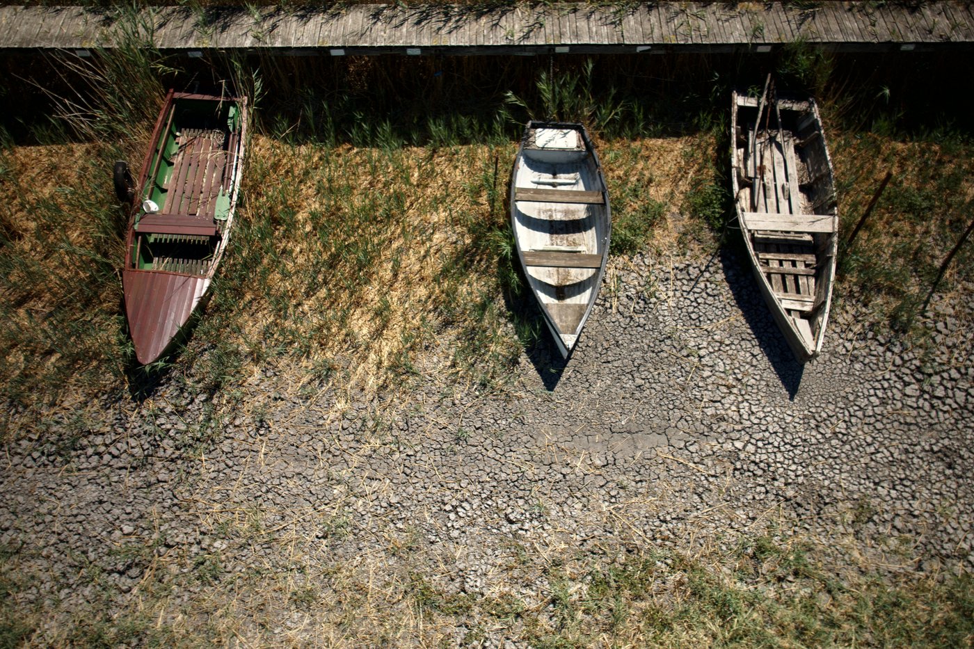 Hungary drained its waters for generations. Now drought is exposing the cost | iNFOnews.ca