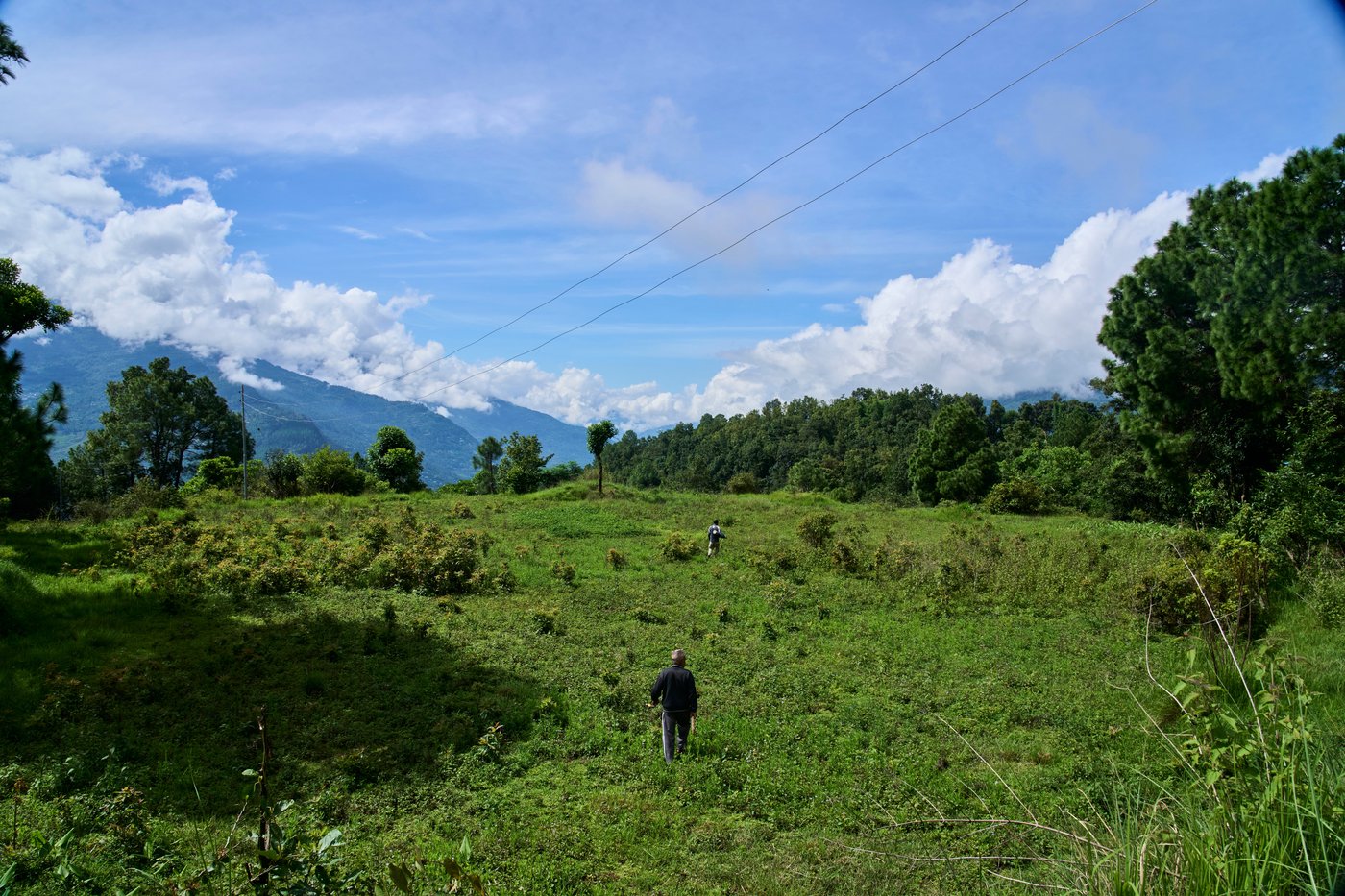 PHOTO ESSAY: Crop-raiding monkeys threaten Nepal's farming communities | iNFOnews.ca