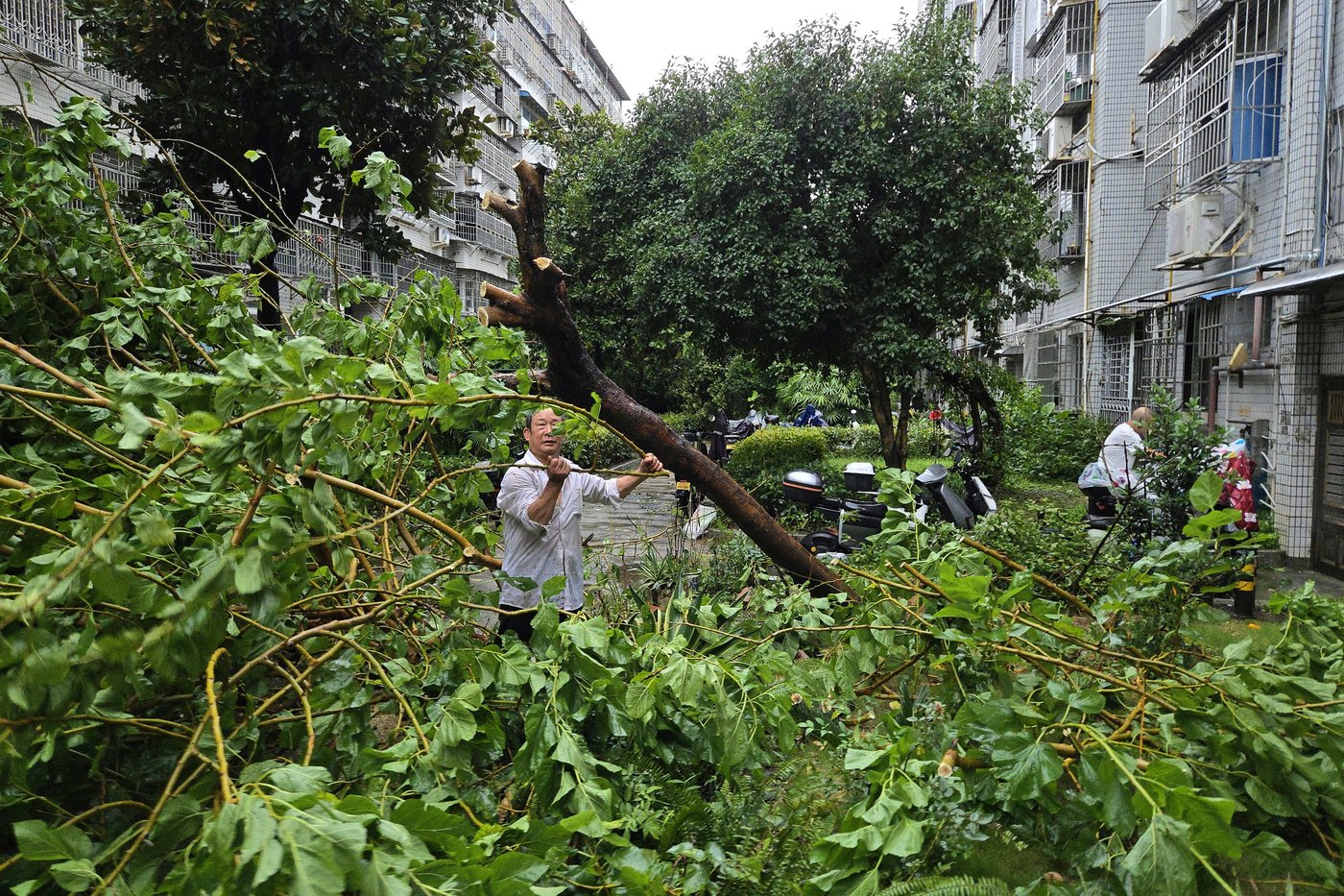 Tropical Storm Dolphin causes flooding in eastern China | iNFOnews.ca