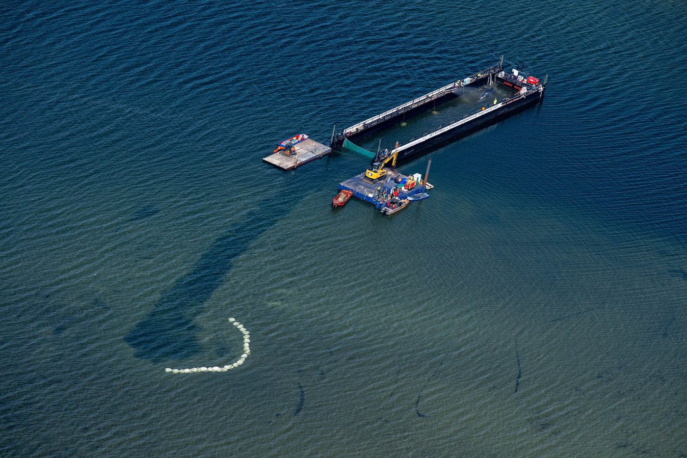 Humpback whale released after spectacular rescue effort found dead off Denmark | iNFOnews.ca