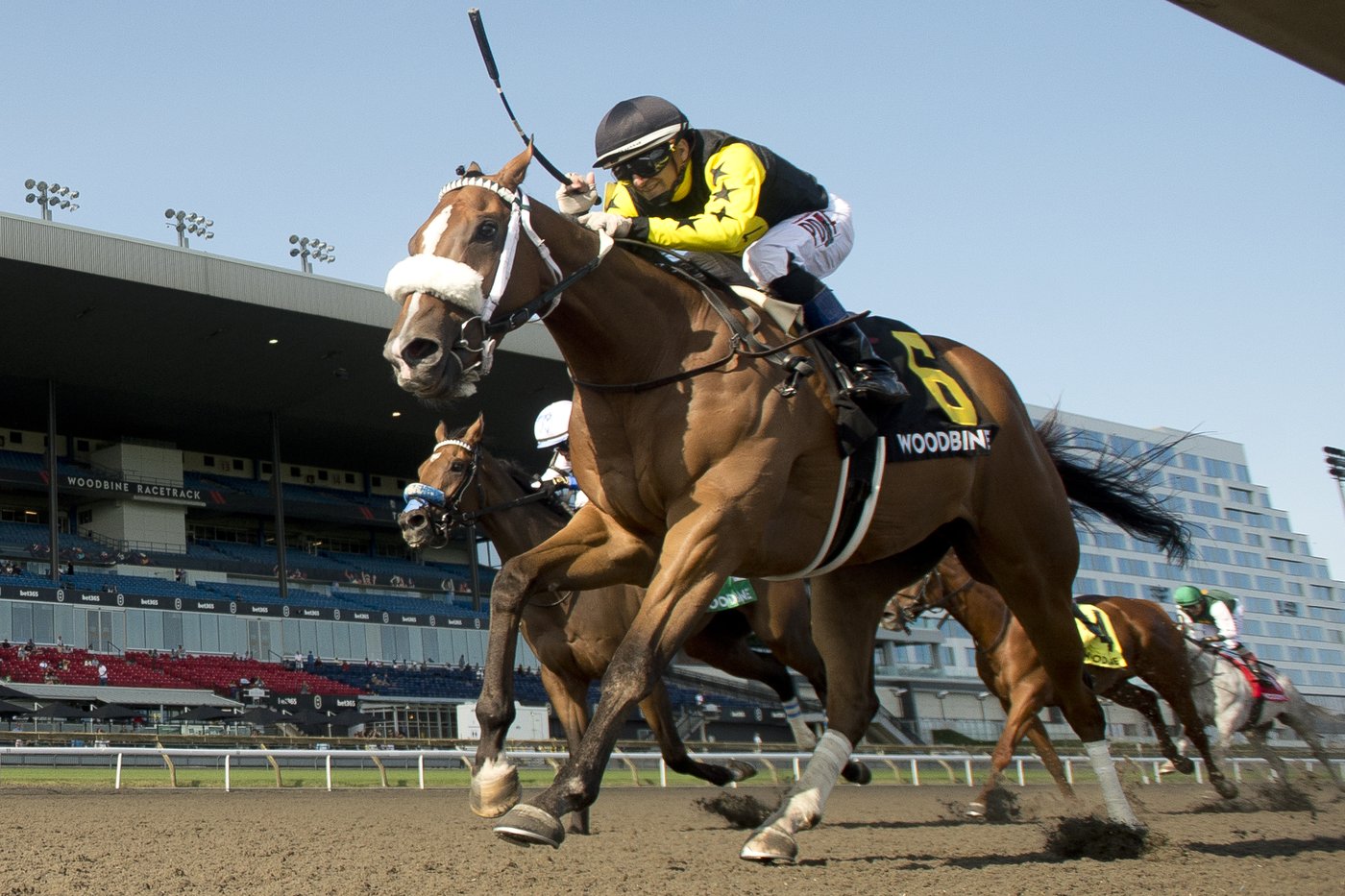 Luster captures $750,000 Woodbine Oaks, Highwaytothemoon wins $200,000 Plate Trial | iNFOnews.ca