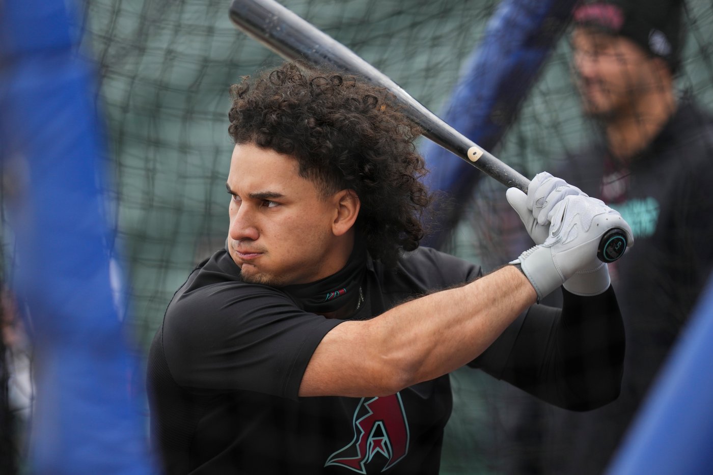 Diamondbacks promote top prospect Ryan Waldschmidt and cut veteran Alek Thomas | iNFOnews.ca