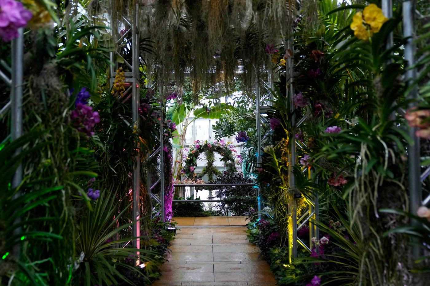 Photos of retro '70s-themed orchids show in Chicago | iNFOnews.ca