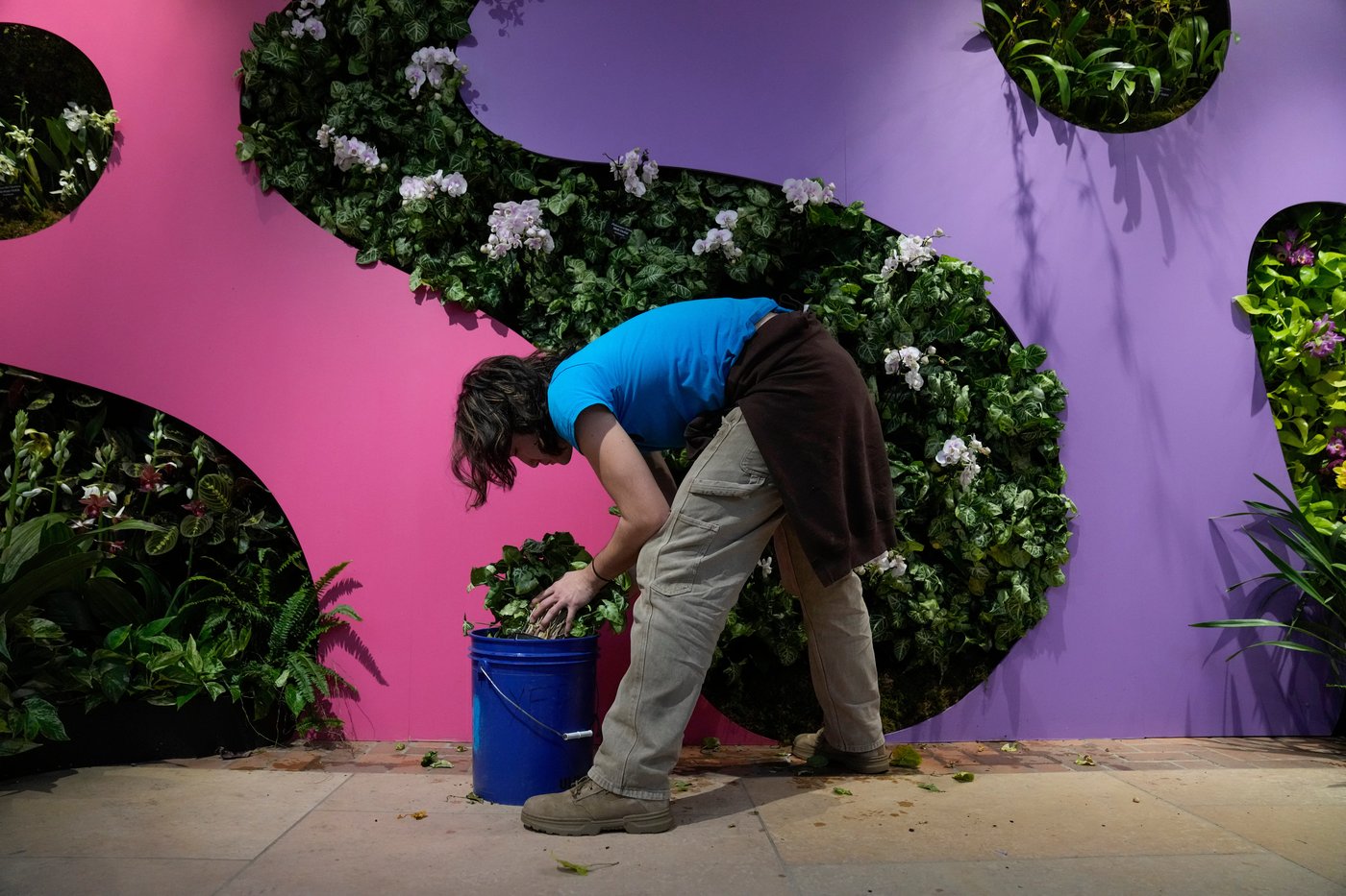 Photos of retro '70s-themed orchids show in Chicago | iNFOnews.ca