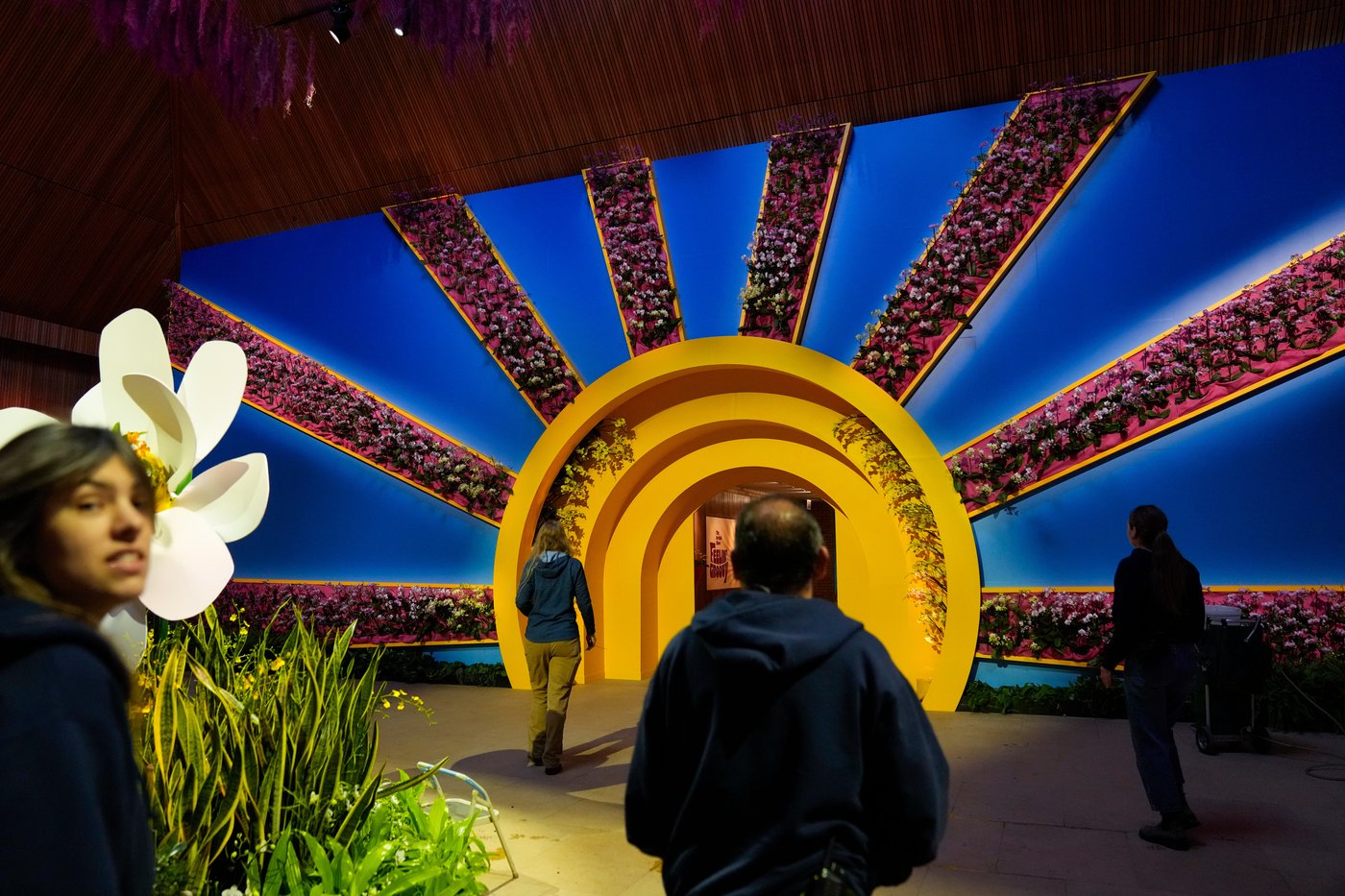 Photos of retro '70s-themed orchids show in Chicago | iNFOnews.ca