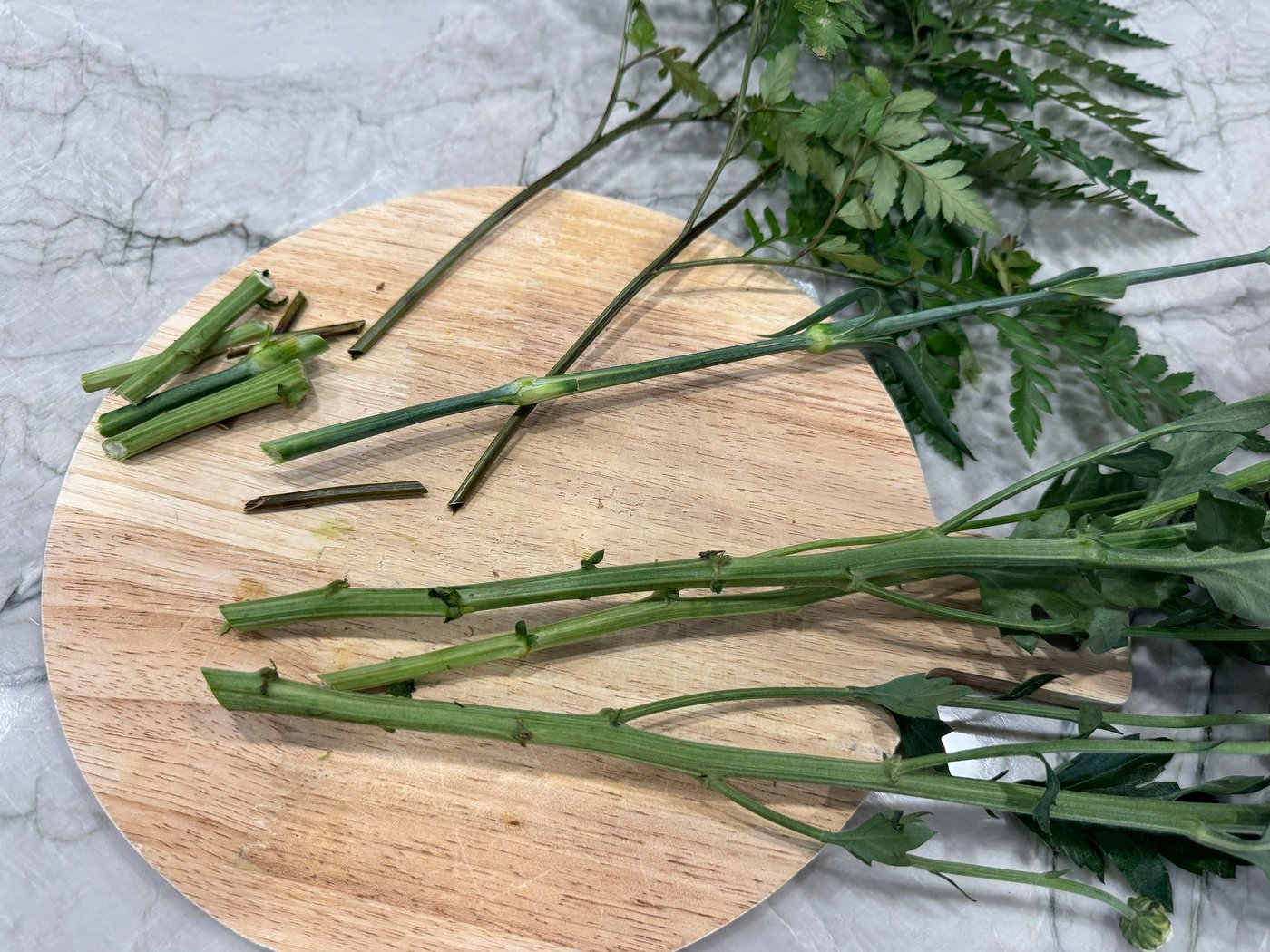 Making cut flowers last well beyond Mother's Day | iNFOnews.ca