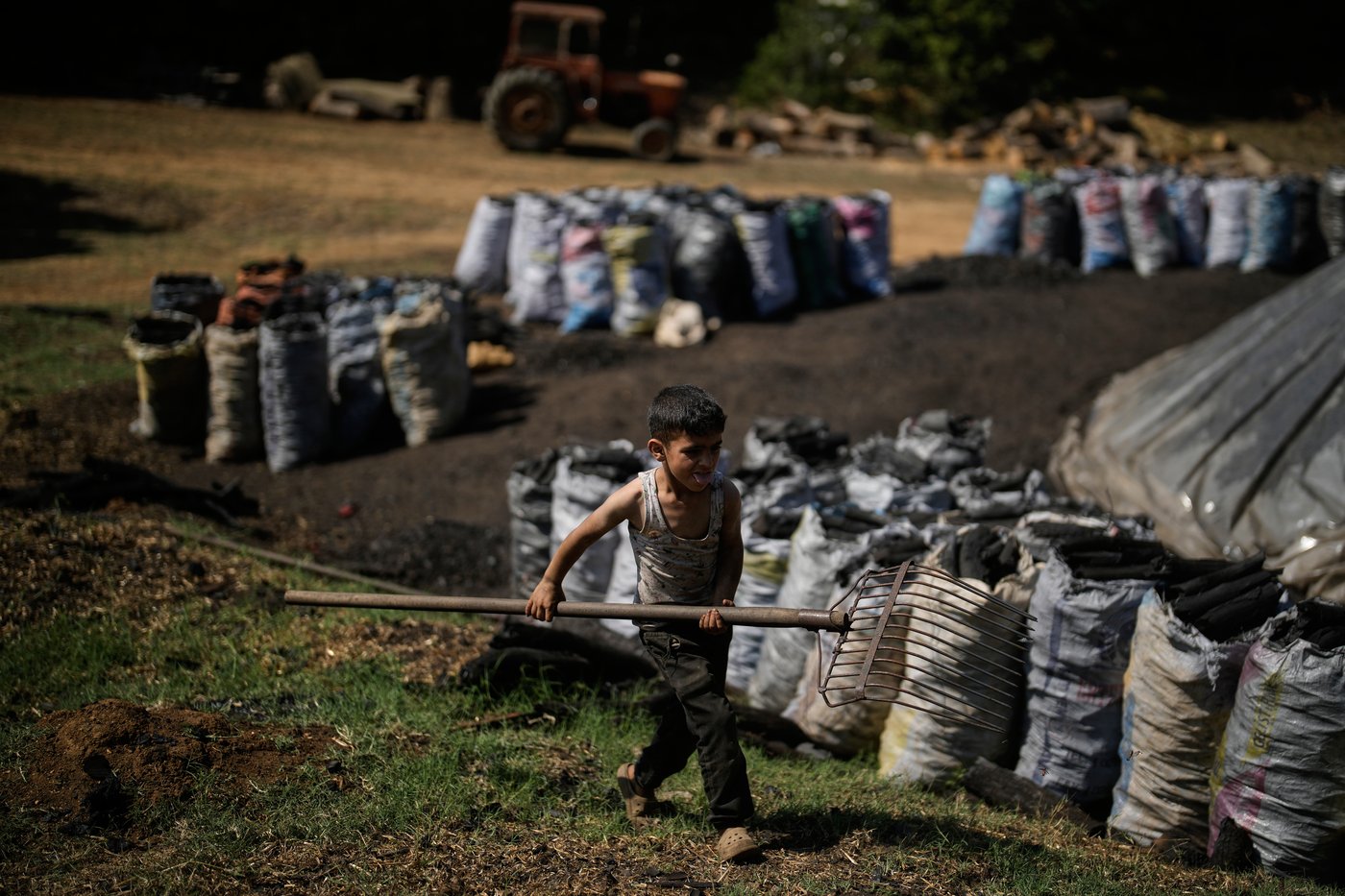 Father and sons keep a traditional charcoal craft alive, in photos | iNFOnews.ca
