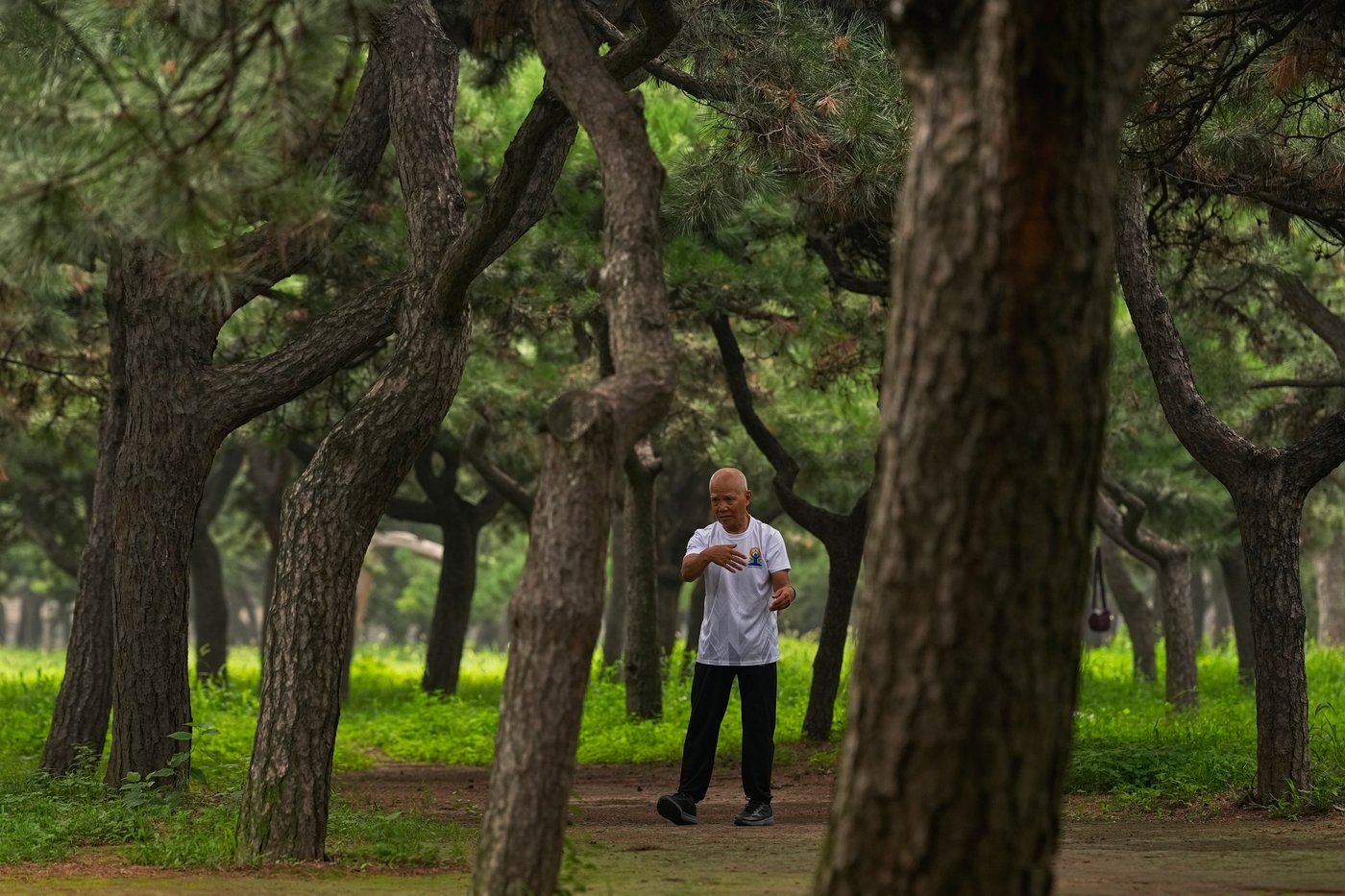 Tai chi practitioners seek balance and well-being in fast-paced Beijing | iNFOnews.ca Tai chi practitioners seek balance and well-being in fast-paced Beijing | iNFOnews.ca