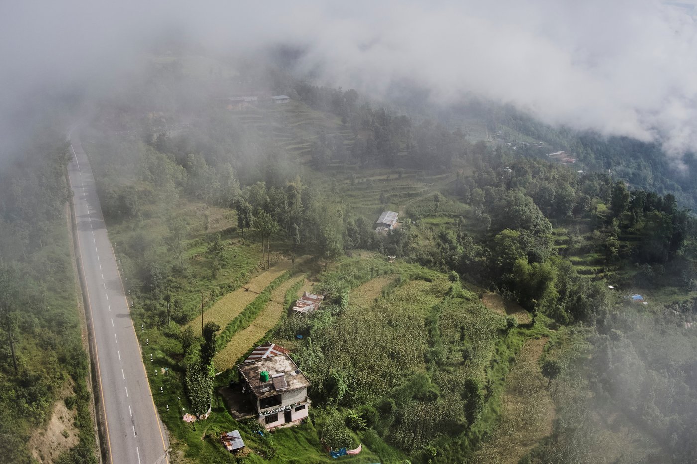 PHOTO ESSAY: Crop-raiding monkeys threaten Nepal's farming communities | iNFOnews.ca