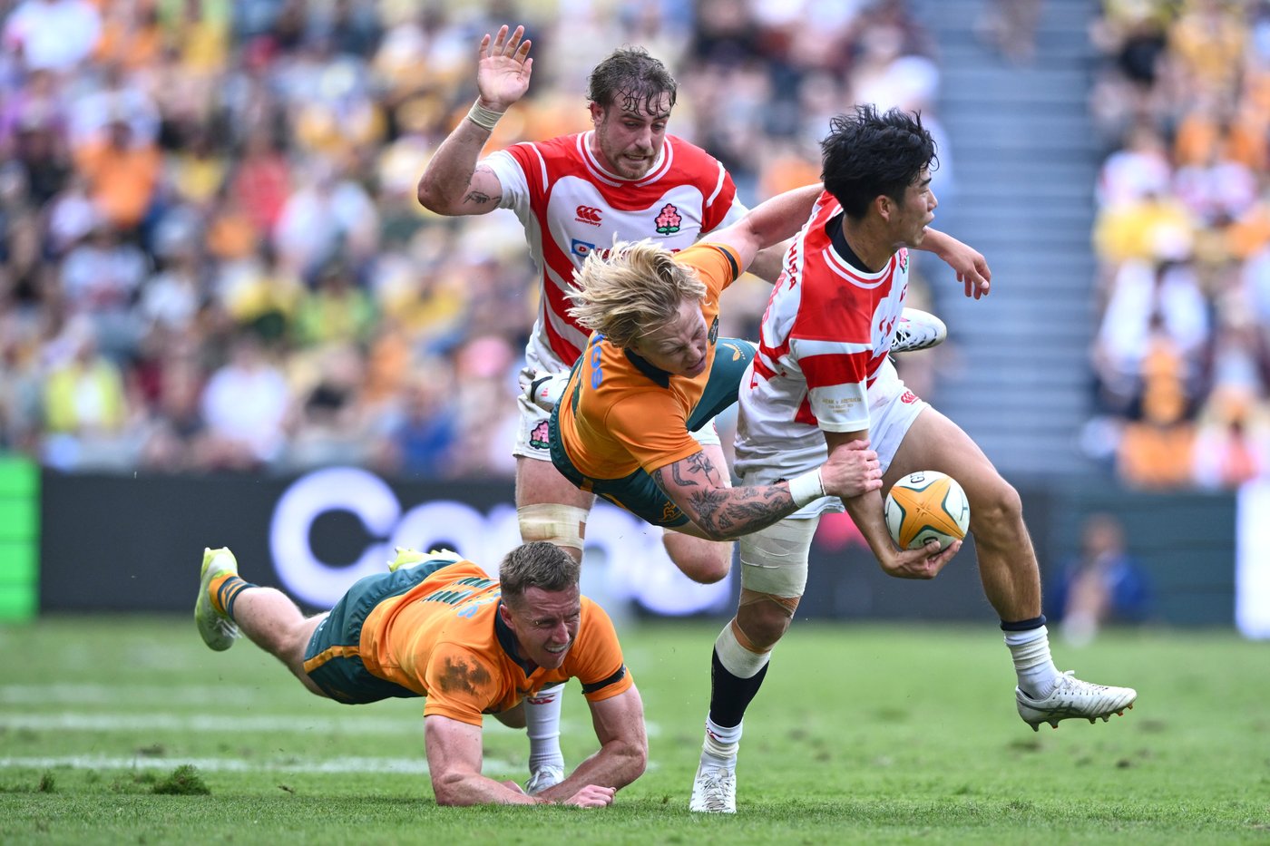 De Lutiis marks 1,000th Wallabies cap with a try as Australia routs Japan 56-17 | iNFOnews.ca