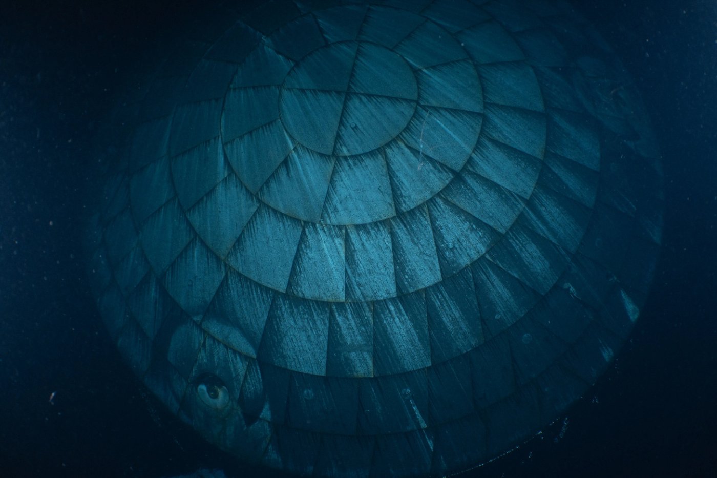 NASA's Artemis II moonship returns home to its launch site after historic voyage | iNFOnews.ca