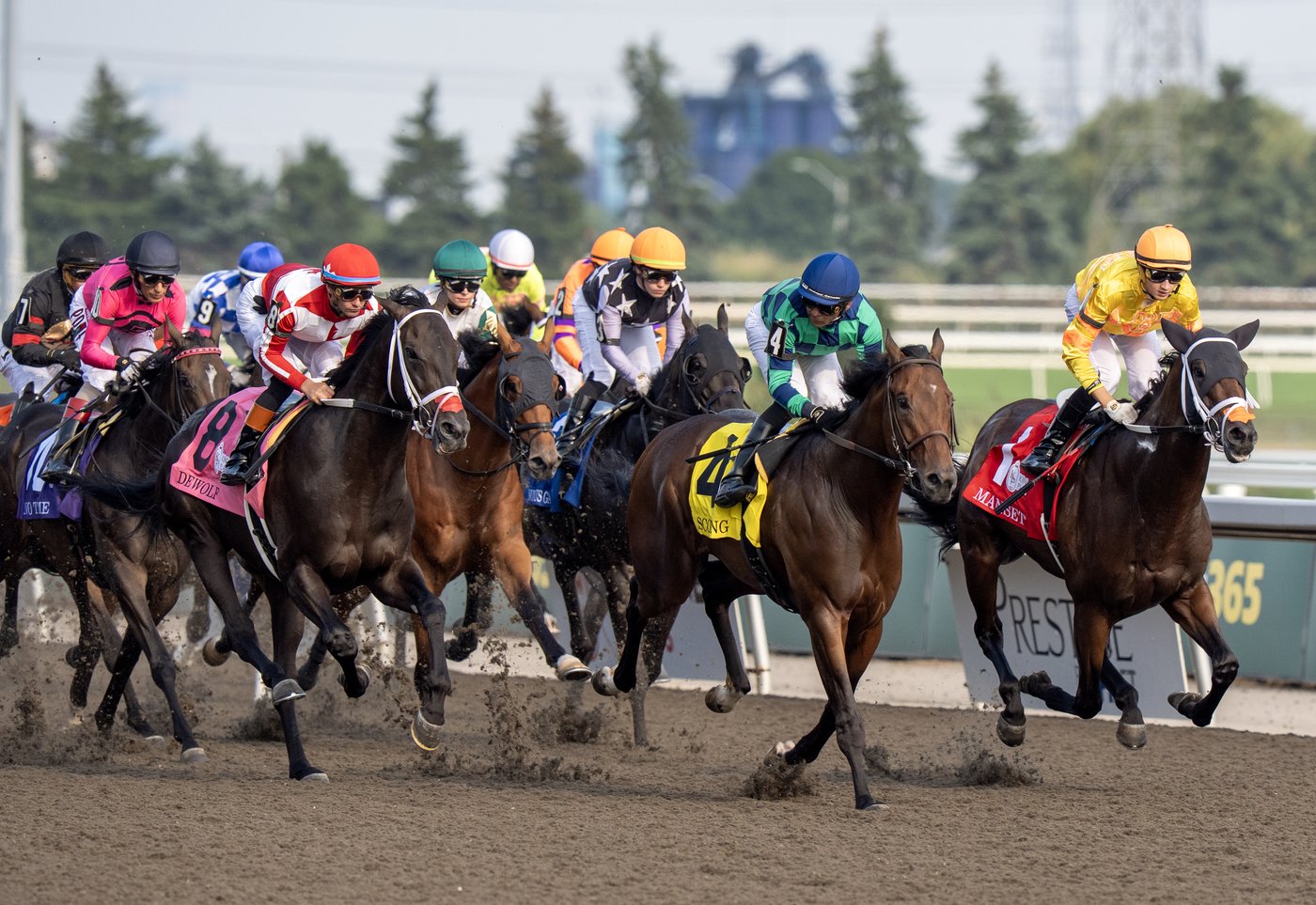 Woodbine Entertainment releases its stakes schedule for 2026 racing season. | iNFOnews.ca
