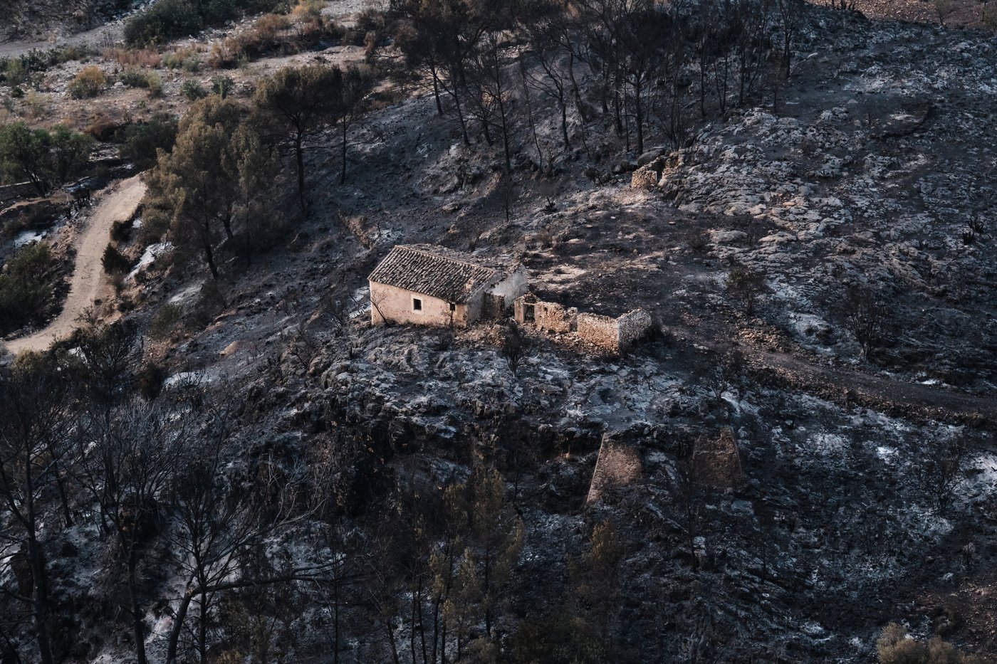 Spanish authorities identify all 13 victims of deadly southern fire | iNFOnews.ca