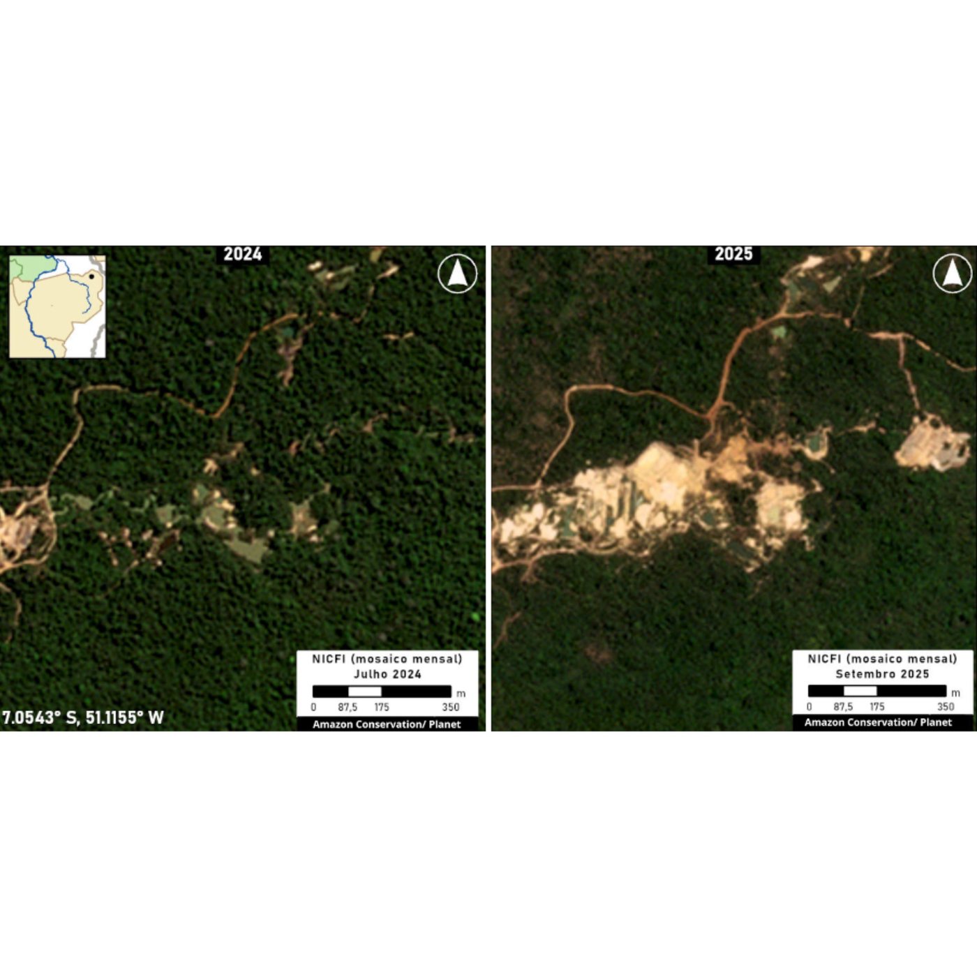 A gold-fueled mining rush scars Brazil’s Amazon, spiking deforestation and mercury risks | iNFOnews.ca