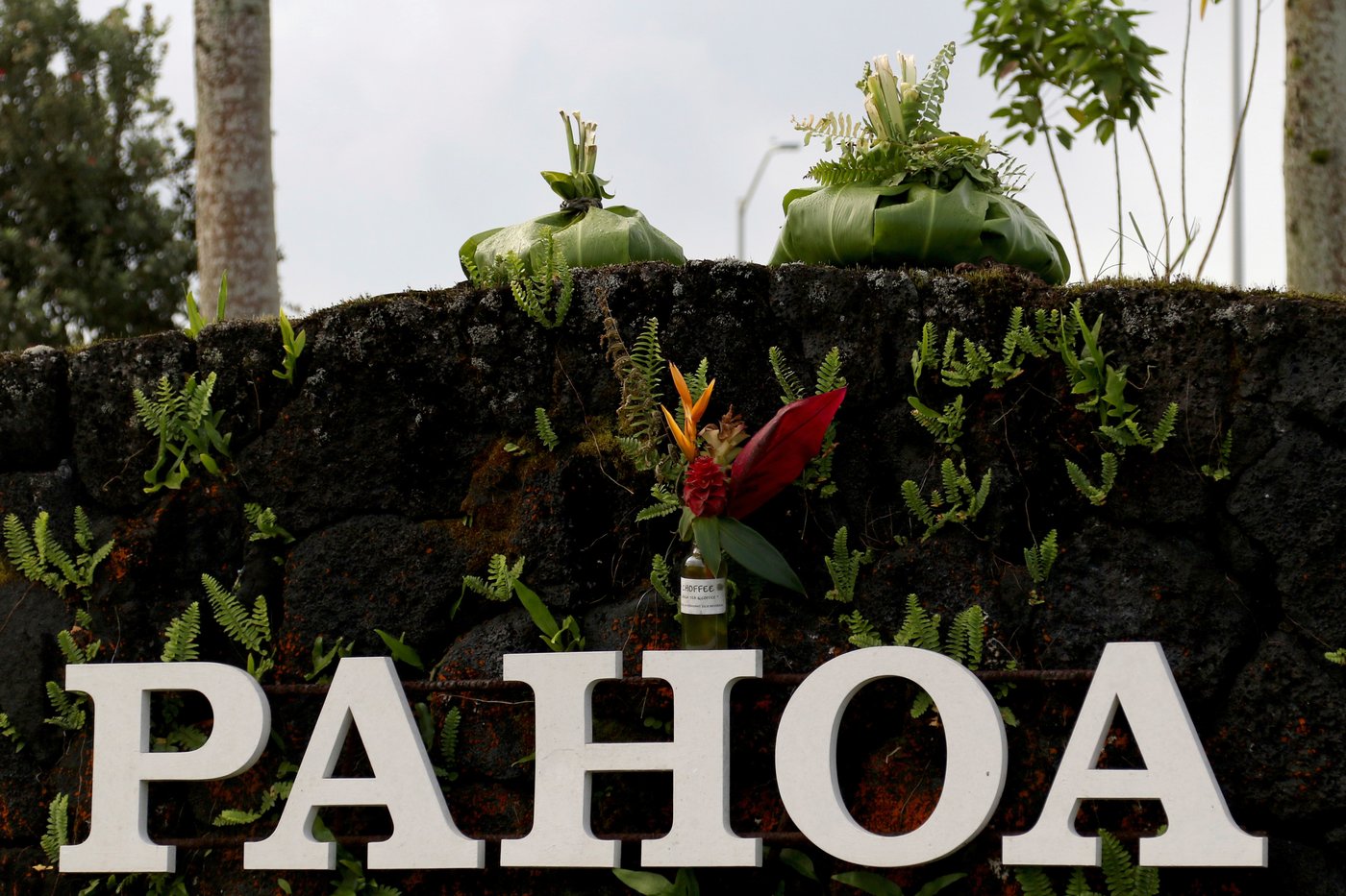 An eclectic, off-grid Hawaii haven, 3 dead men and a suspect caught on surveillance video | iNFOnews.ca