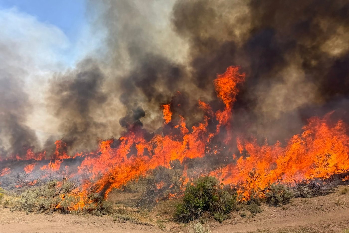 Pilots of helicopter that crashed while fighting wildfire in Utah are dead, officials say | iNFOnews.ca Pilots of helicopter that crashed while fighting wildfire in Utah are dead, officials say | iNFOnews.ca