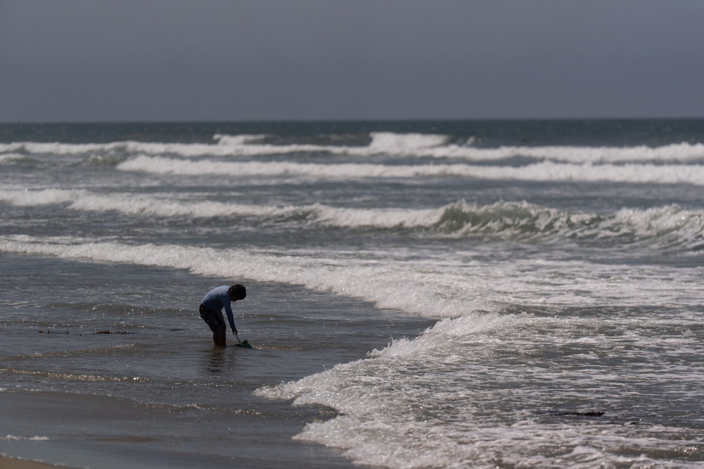 Catching stingrays and treating their victims on Southern California beaches, in photos | iNFOnews.ca