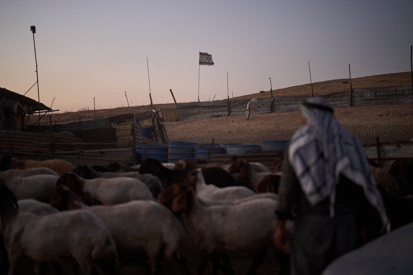 PHOTO ESSAY: Palestinian shepherds endure life alongside Israeli settler outposts | iNFOnews.ca
