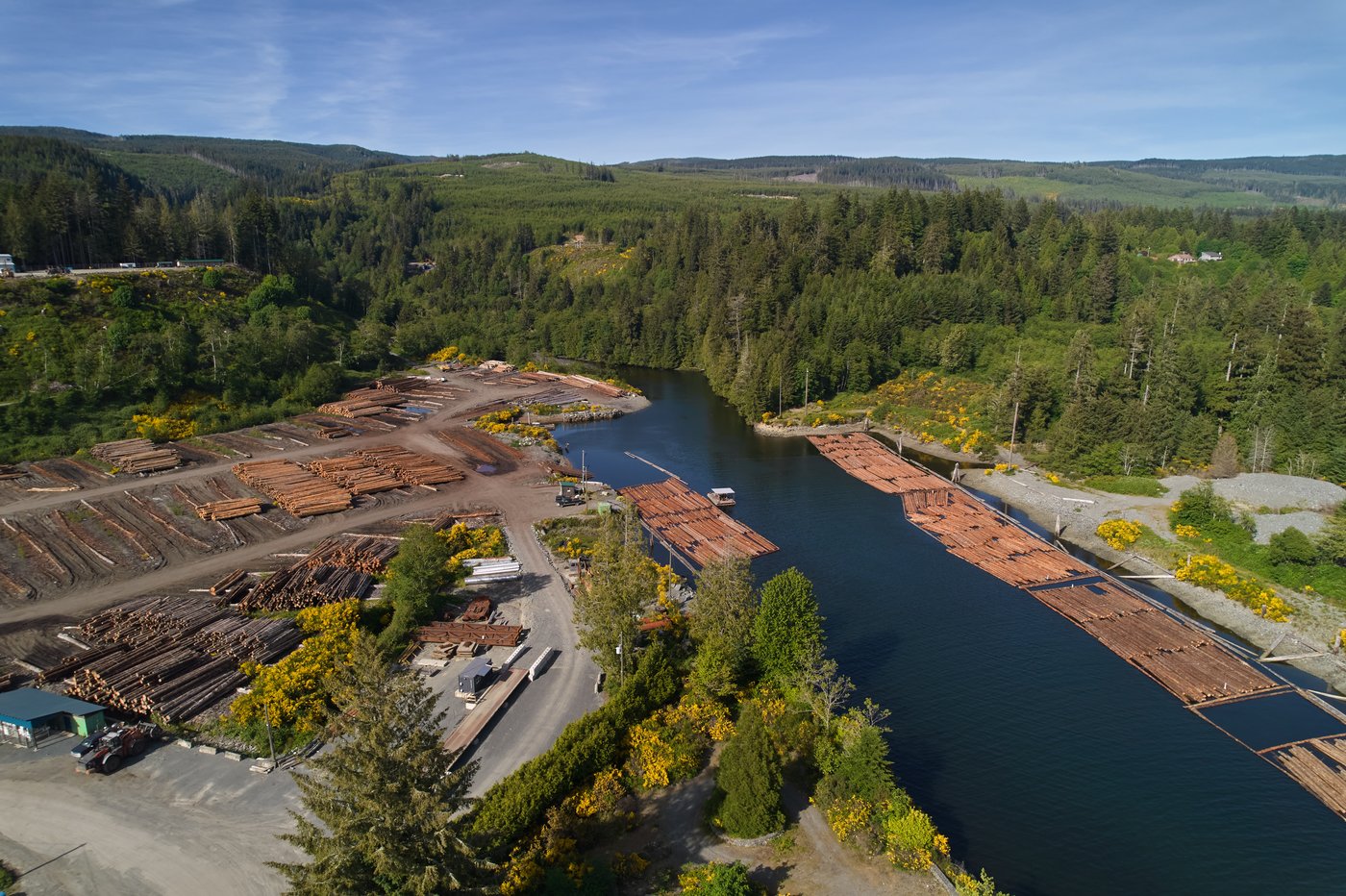 British Columbia is logging its last old growth. Protesters are sleeping in the road to stop it | iNFOnews.ca British Columbia is logging its last old growth. Protesters are sleeping in the road to stop it | iNFOnews.ca