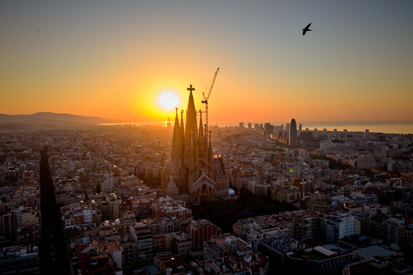 What to know about Pope Leo's trip to Spain, from political scandal to Barcelona's architectural gem | iNFOnews.ca