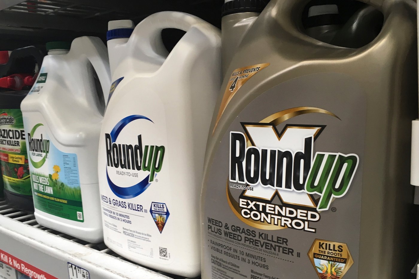 EPA promised a Make America Healthy Again agenda. It has yet to materialize, frustrating activists | iNFOnews.ca