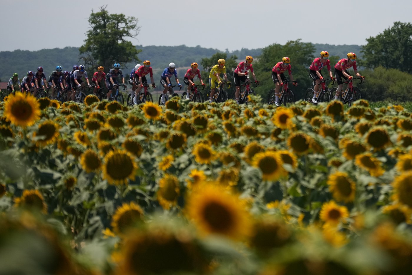 Highlights from the Tour de France in photos | iNFOnews.ca
