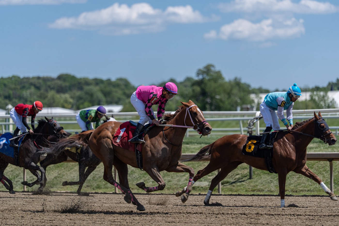 Photos of Laurel Park as storied track reaches final chapter | iNFOnews.ca