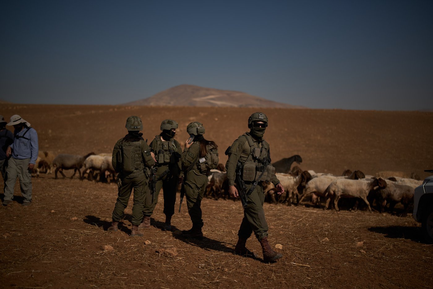 PHOTO ESSAY: Palestinian shepherds endure life alongside Israeli settler outposts | iNFOnews.ca