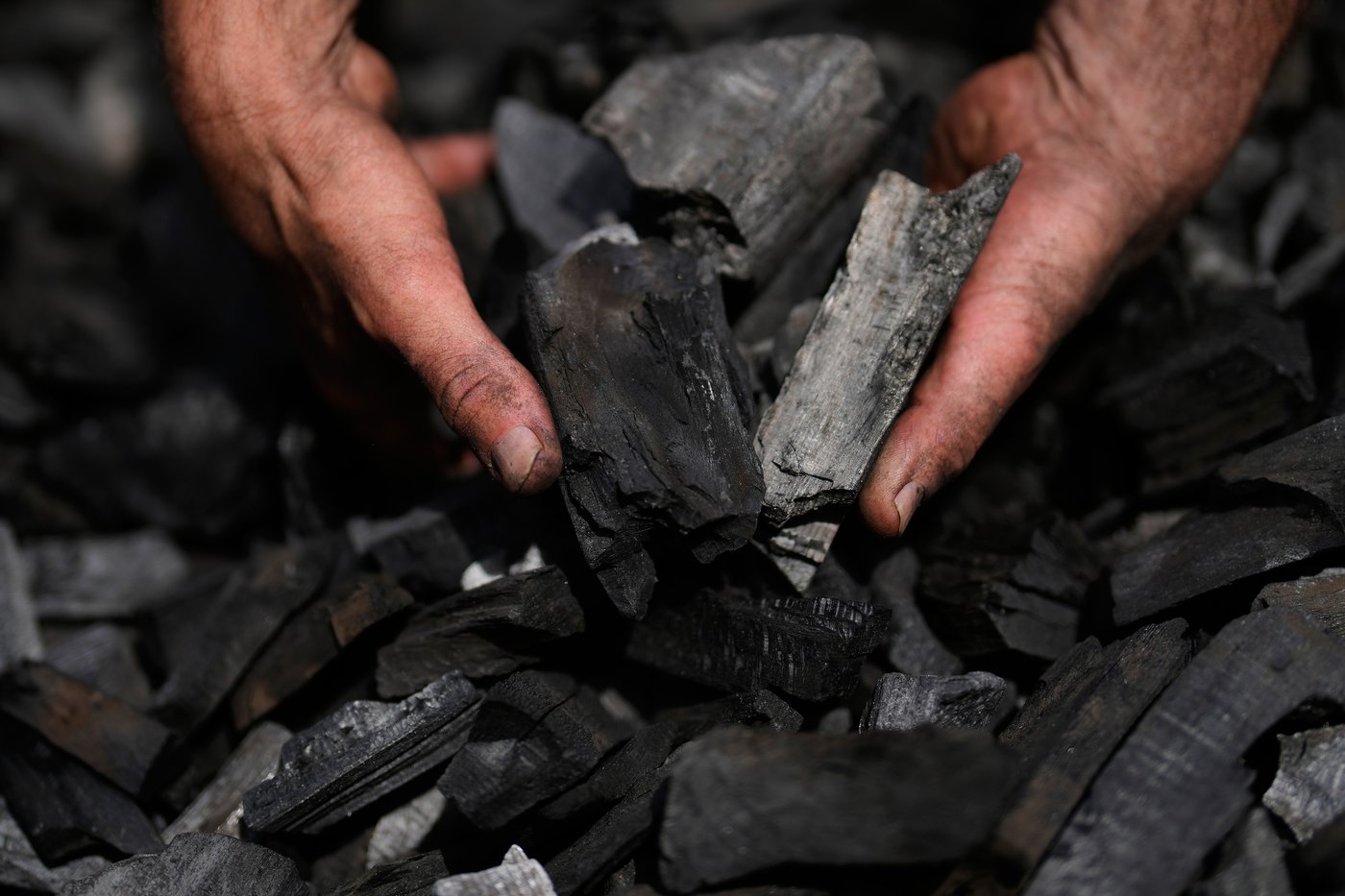 In a German forest, 2 brothers keep the ancient tradition of charcoal burning alive | iNFOnews.ca