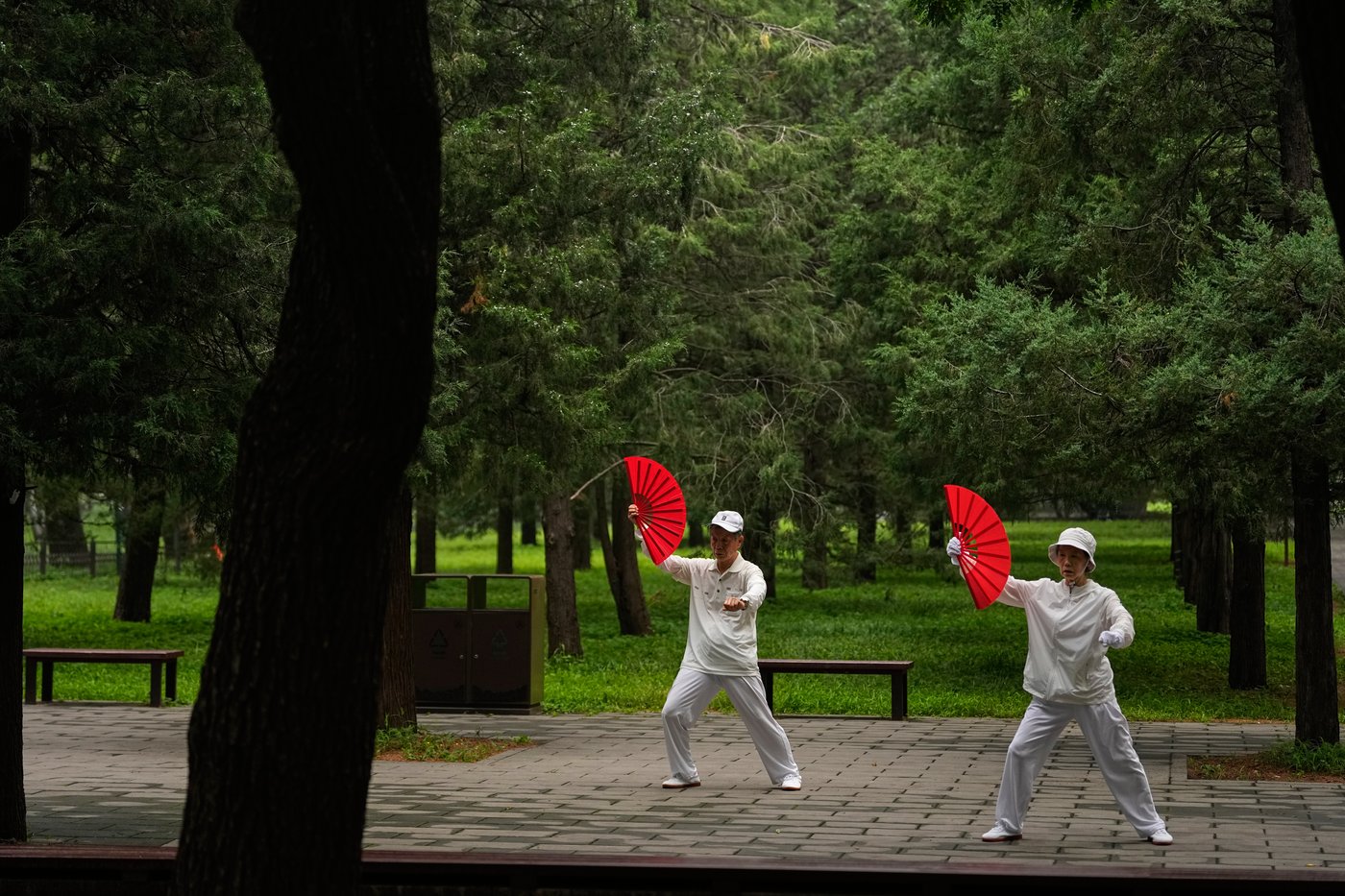 Tai chi practitioners seek balance and well-being in fast-paced Beijing | iNFOnews.ca Tai chi practitioners seek balance and well-being in fast-paced Beijing | iNFOnews.ca