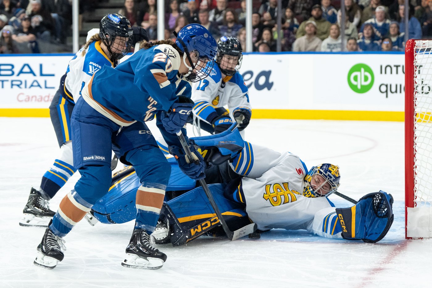 Toronto Sceptres gaining confidence from back-to-back West Coast wins | iNFOnews.ca