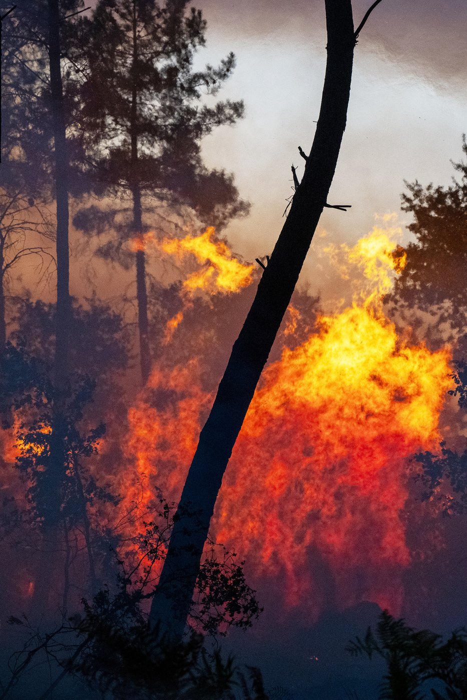 See the world in vertical: Top photos by AP photojournalists | iNFOnews.ca