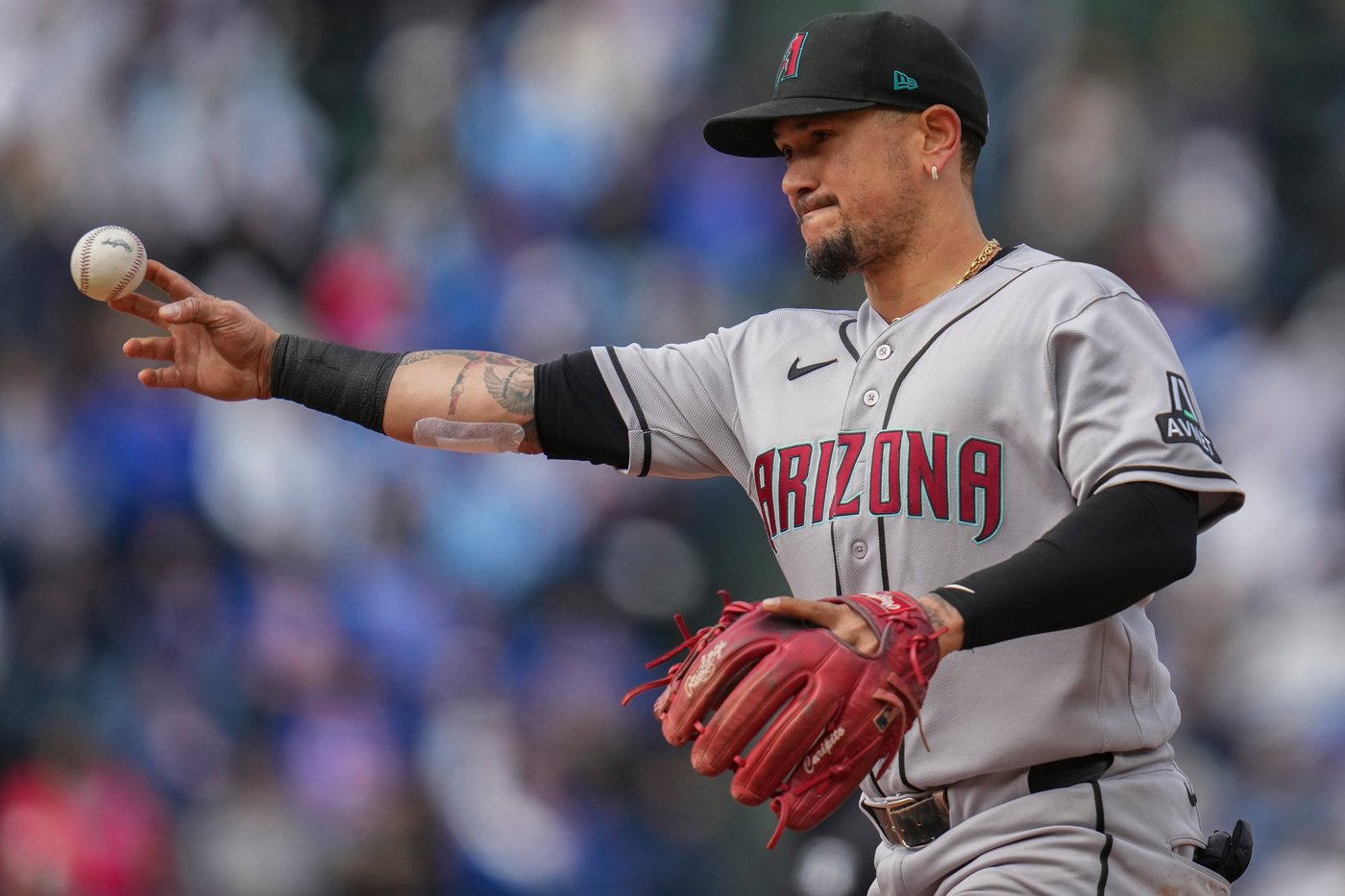 Arizona's Ildemaro Vargas sets record for Venezuela-born player with a 27-game hit streak | iNFOnews.ca