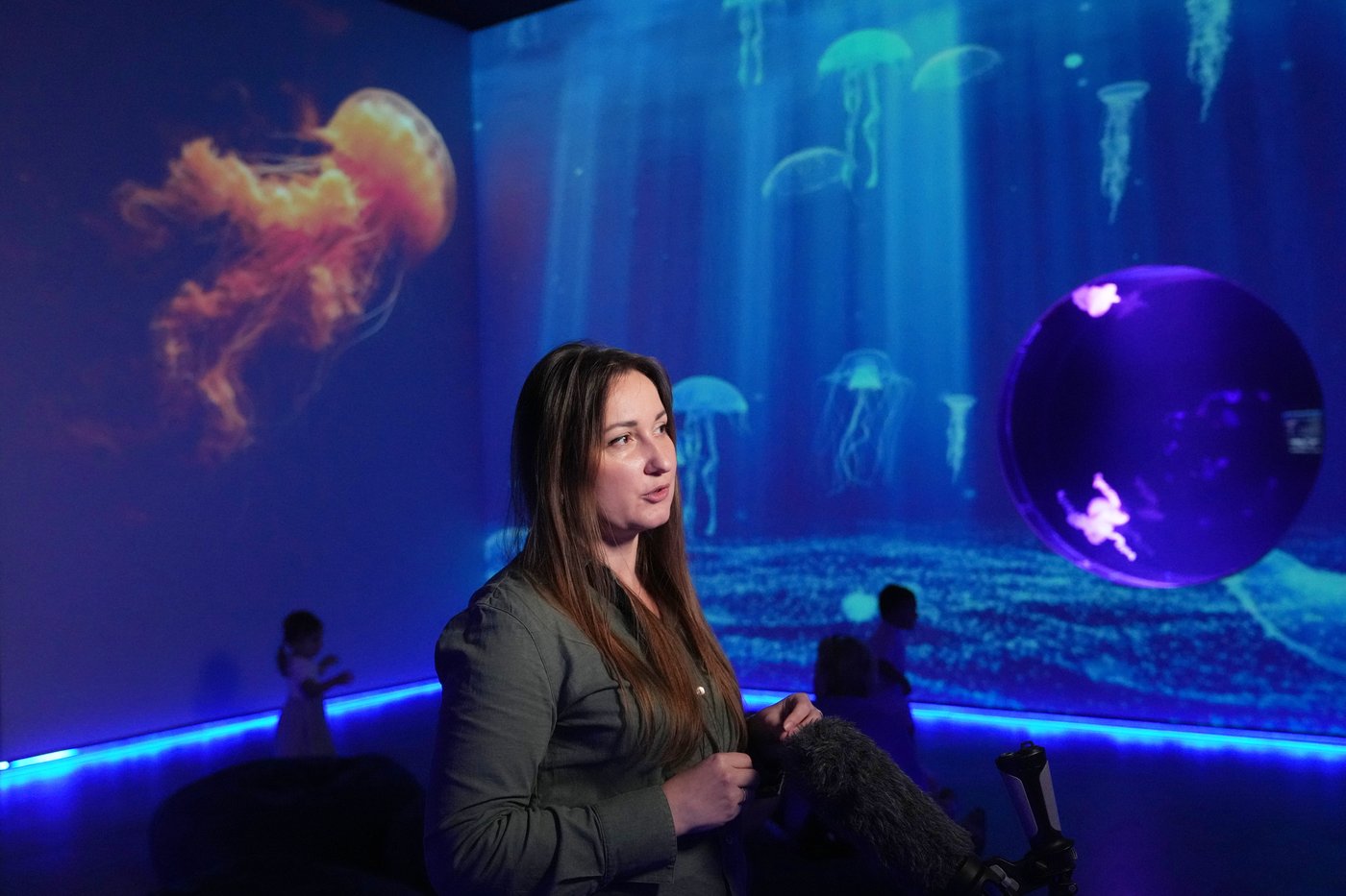 Florida's Jellyfish Museum is dedicated solely to the mesmerizing floating predators | iNFOnews.ca