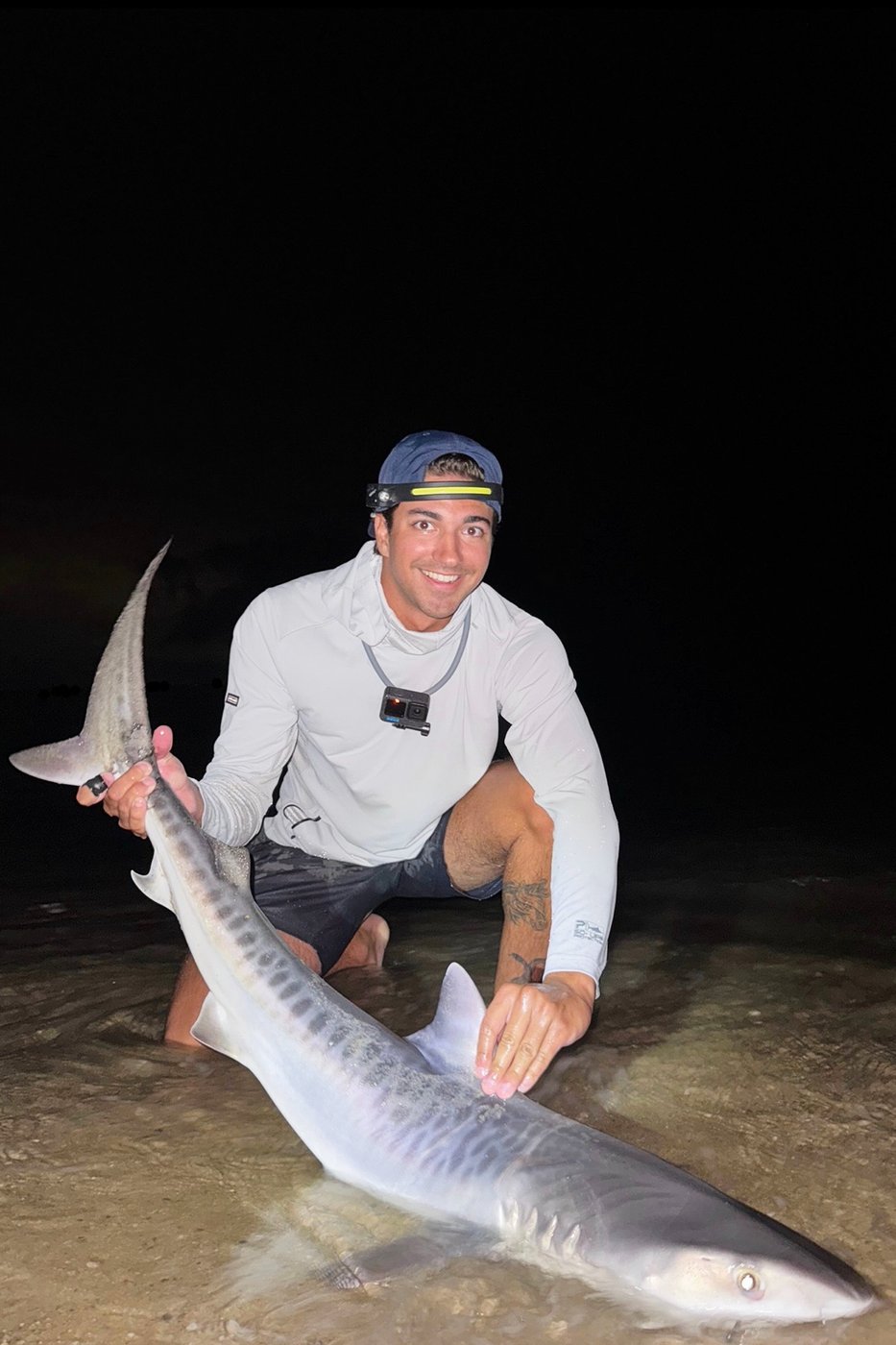 Tiger shark caught off Massachusetts could be sign of warming waters | iNFOnews.ca