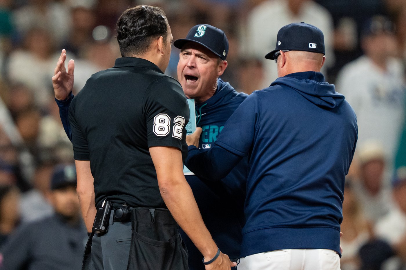 Richie Palacio, Victor Mesa Jr. lead the Rays past the Mariners, 3-2 | iNFOnews.ca Richie Palacio, Victor Mesa Jr. lead the Rays past the Mariners, 3-2 | iNFOnews.ca