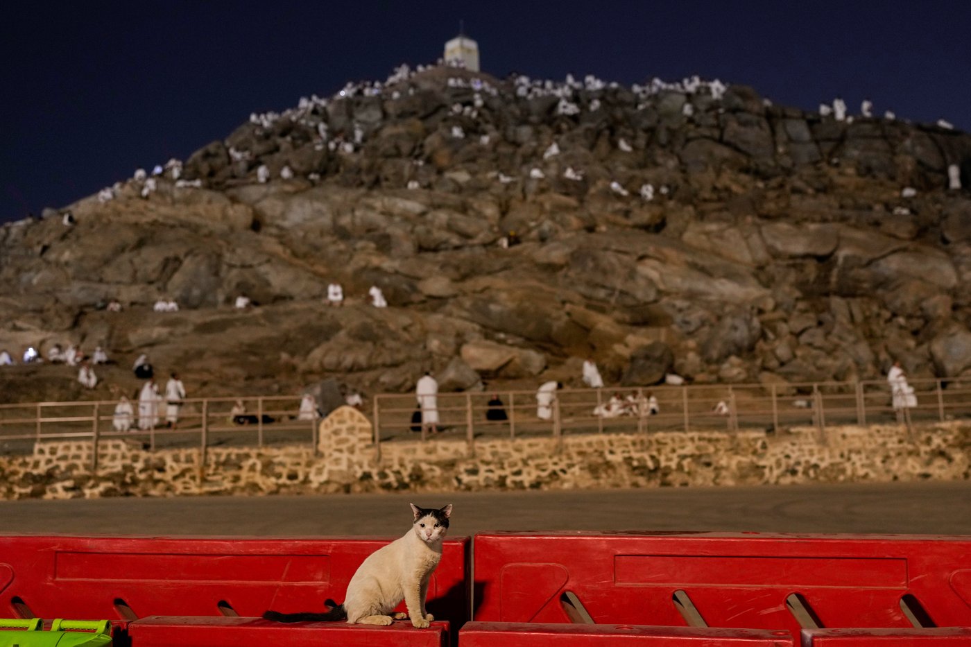 Photos show Muslim pilgrims in Mecca as annual Hajj pilgrimage ends | iNFOnews.ca