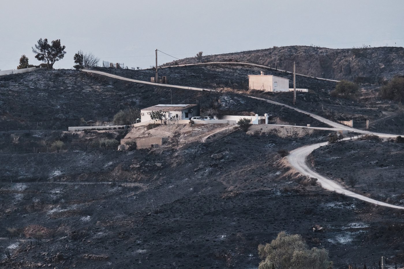 Spanish authorities identify all 13 victims of deadly southern fire | iNFOnews.ca