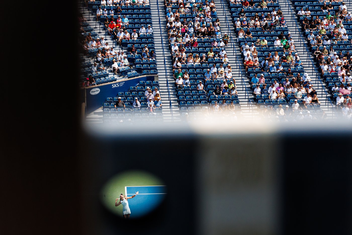 Photo Gallery: The week in sports photos | iNFOnews.ca