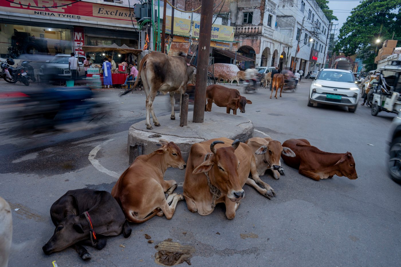 Daily life around the world, in photos | iNFOnews.ca