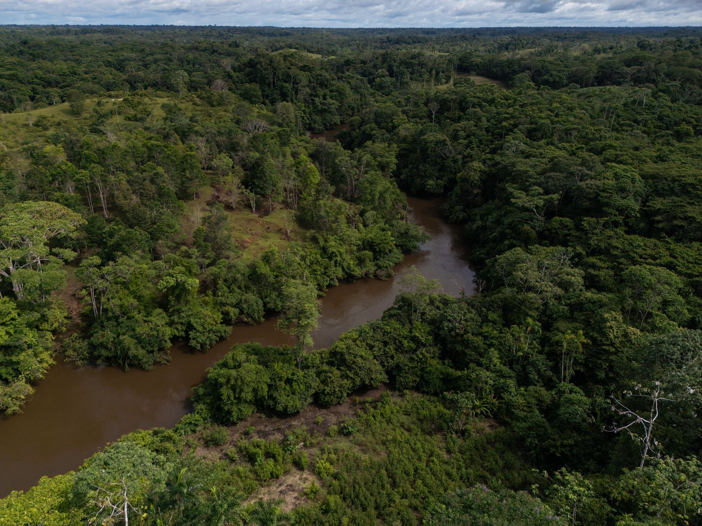 Outgoing Colombia minister warns climate gains could be at risk under new government | iNFOnews.ca