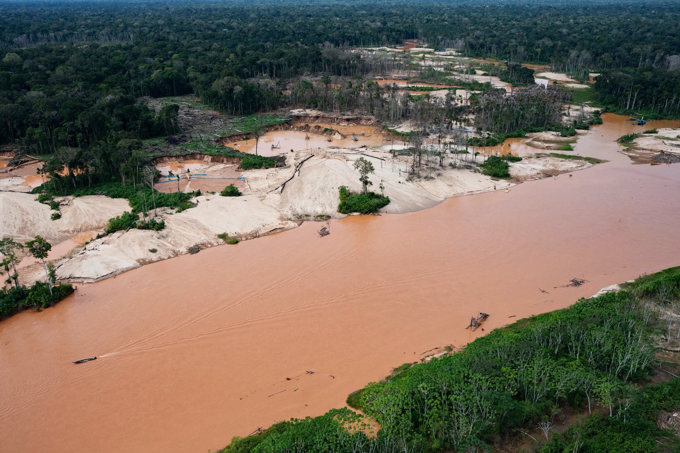 Peru steps up fight against illegal gold mining as activity enters protected Amazon reserve | iNFOnews.ca