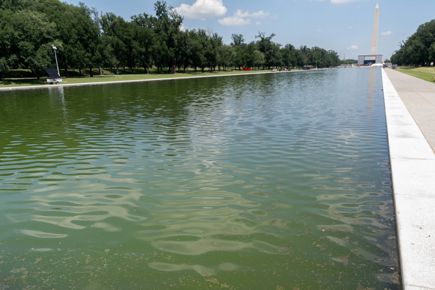 Former Olympian indicted on felony charge over alleged Reflecting Pool vandalism | iNFOnews.ca Former Olympian indicted on felony charge over alleged Reflecting Pool vandalism | iNFOnews.ca