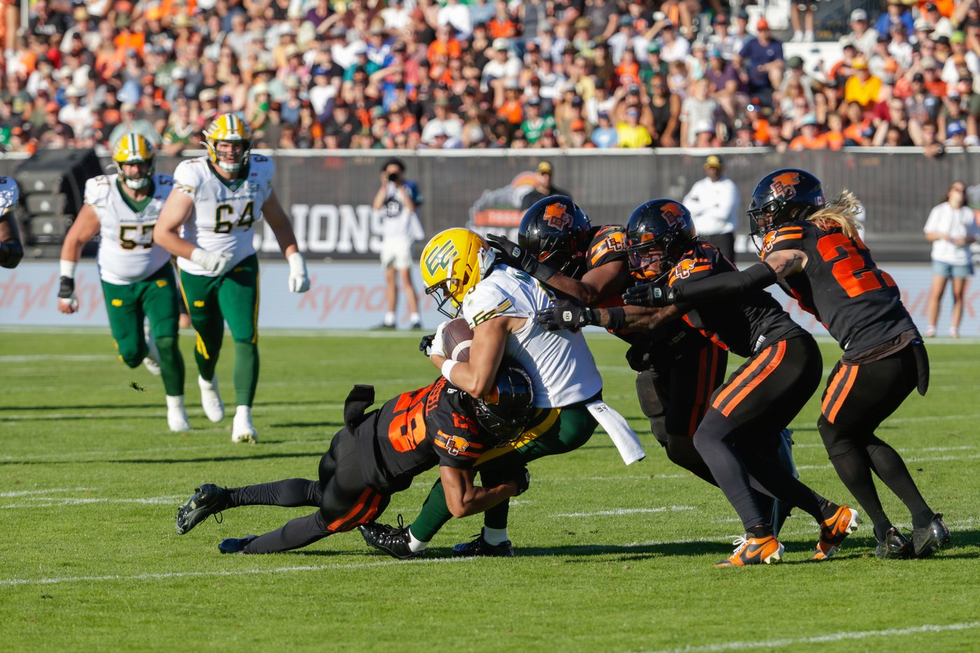 Lions earn first win by handing Elks their first loss in 36-24 decision | iNFOnews.ca Lions earn first win by handing Elks their first loss in 36-24 decision | iNFOnews.ca