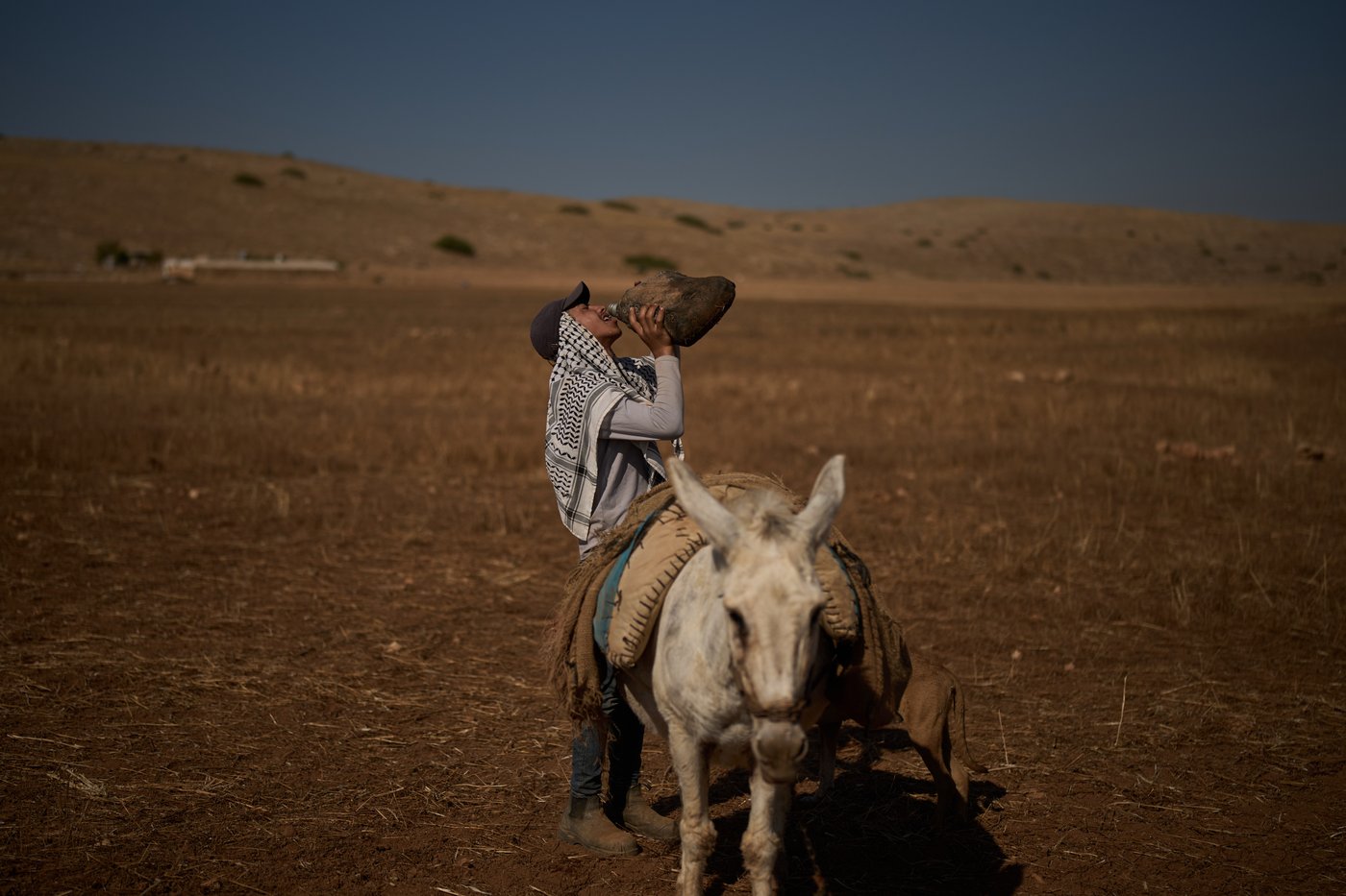 PHOTO ESSAY: Palestinian shepherds endure life alongside Israeli settler outposts | iNFOnews.ca